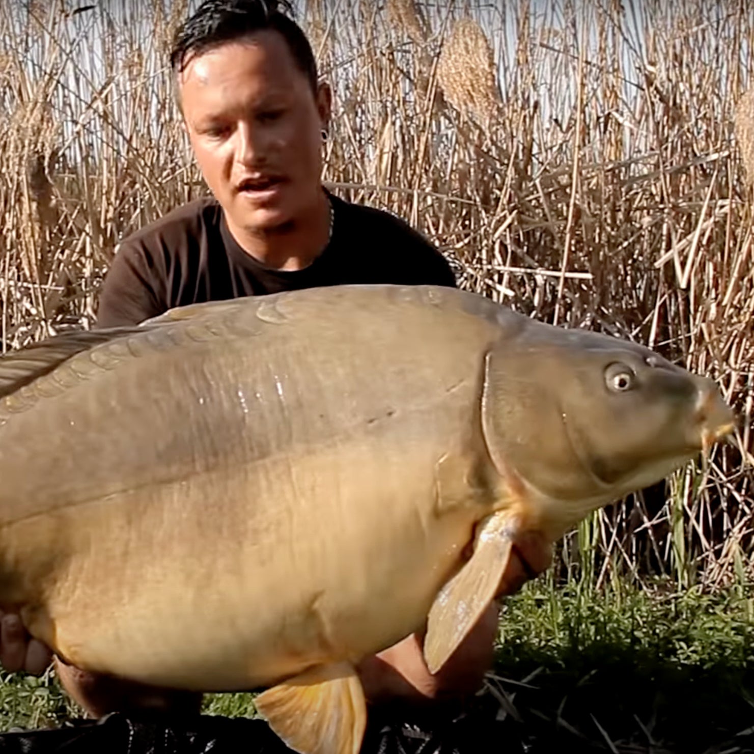 Po stopách kaprů - Day & Night Zig rig