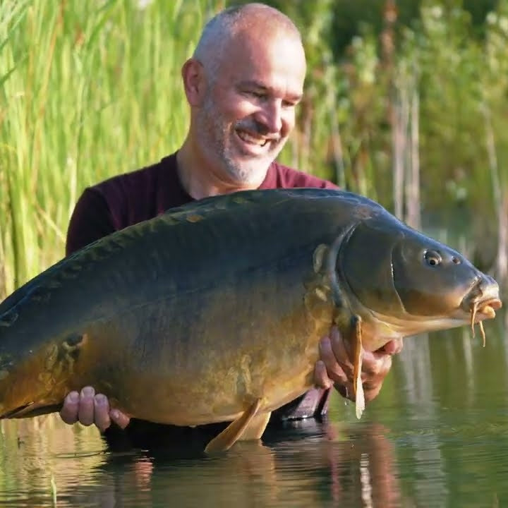 Mikbaits - GANGSTER G2 vs. G20