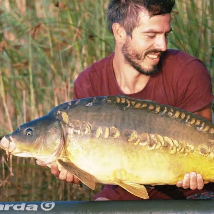 Mikbaits - Chilli Chips