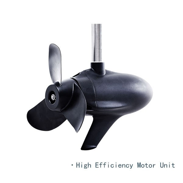 Haibo M250 5HP 120LBS 24V безщітковий