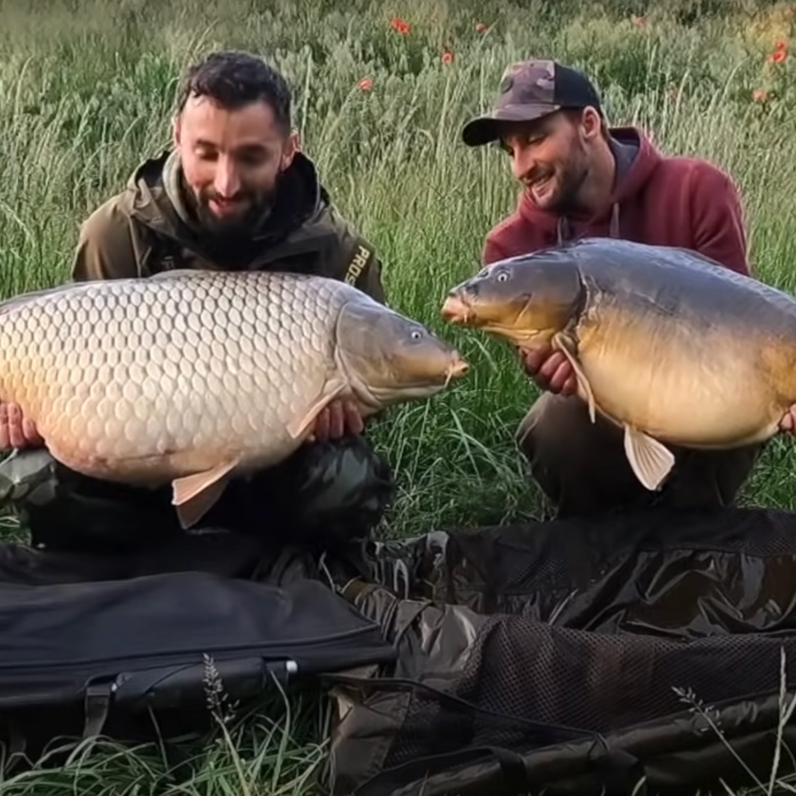 Lov kaprů s Mikbaits - Jaro na Pálavě 28,7 kg