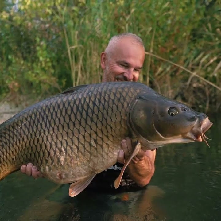 Mikbaits MANIAQ