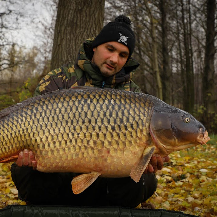 Rekordní kapr z Pálavy - 31,55 kg