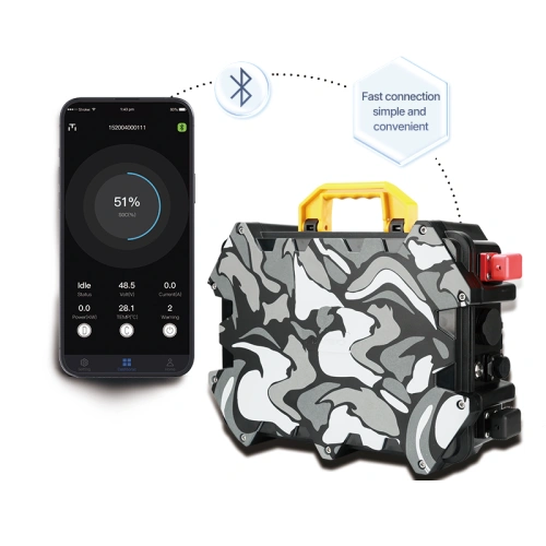 Haibo baterie Rock LiFEPO4 12V 100Ah camou USB 10A